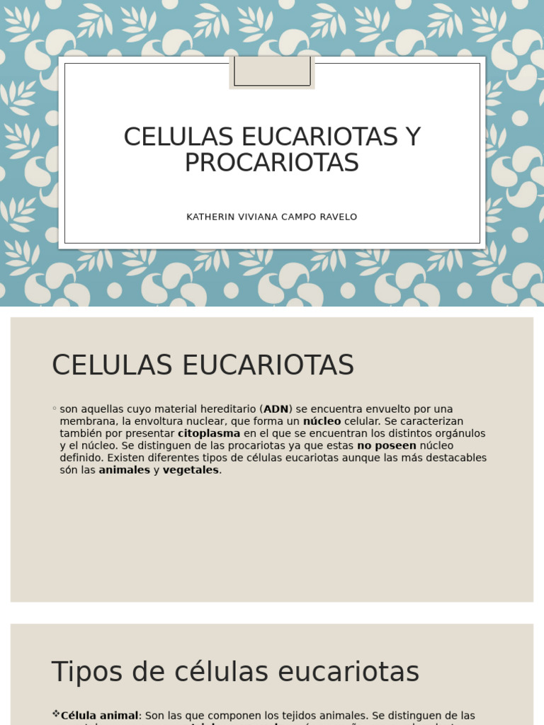 Celulas Eucariotas y Procariotas - Final | PDF | Biología Celular ...