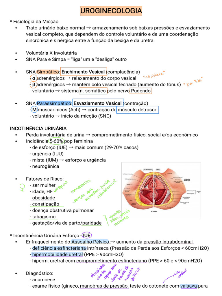 UROGINECOLOGIA | PDF