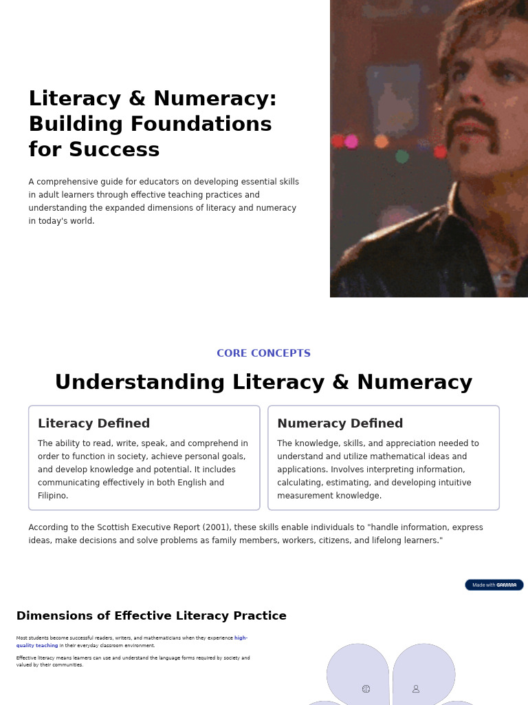 Literacy & Numeracy Skills Guide | PDF | Literacy | Nutrients