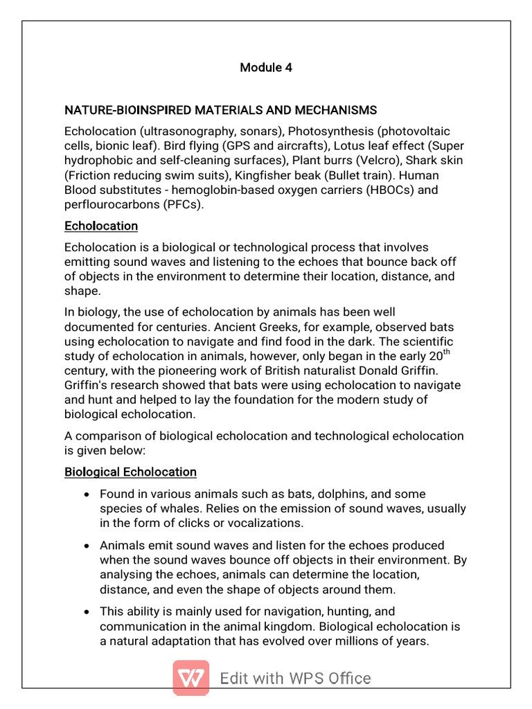 Nature-Inspired Echolocation Mechanisms | PDF | Photosynthesis ...