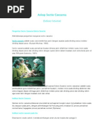 Download Askep Sectio Caesarea by Rya ShishukaDora BQ SN91292034 doc pdf