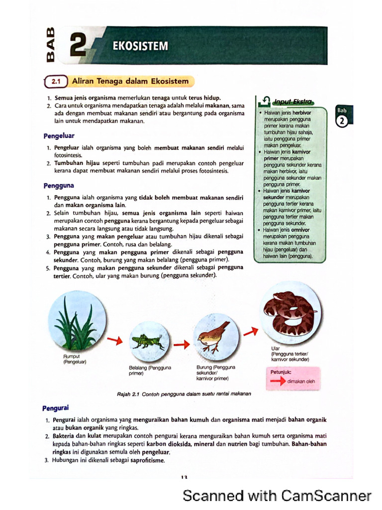 Science Note Unit 2 (F2) | PDF