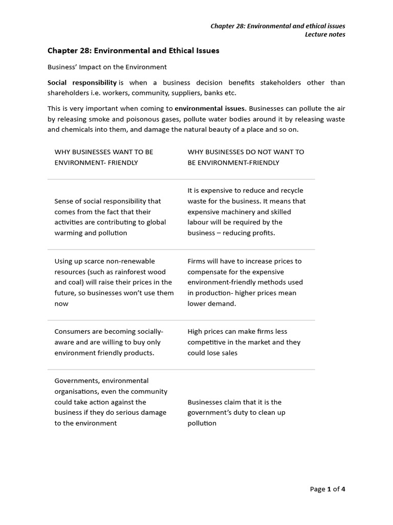 Environmental and Ethical Business Issues | PDF | Externality | Pollution