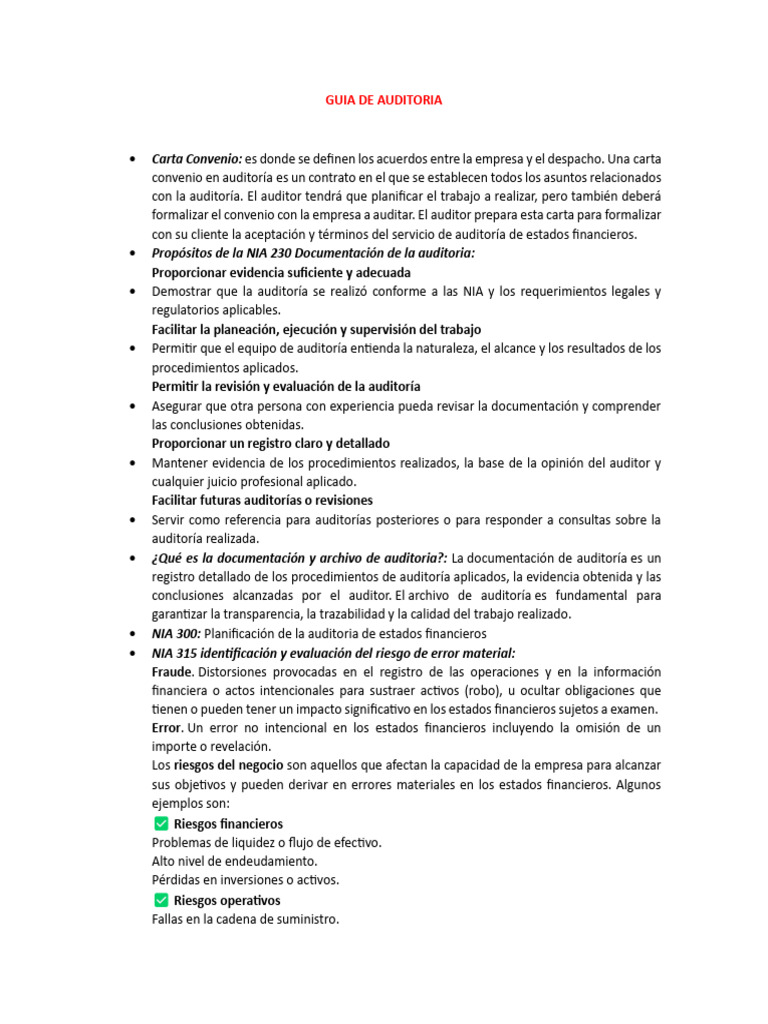 Guía Completa de Auditoría Financiera | PDF | Auditoría | Estado financiero