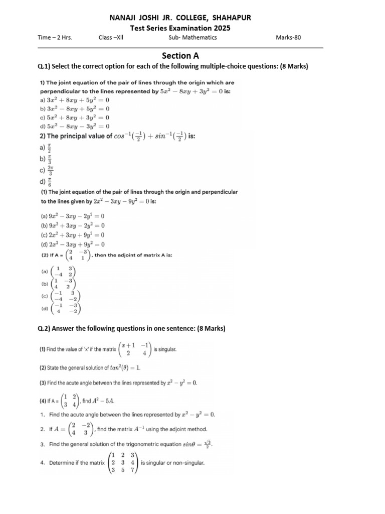 Mathematics Test Series 2025 | PDF