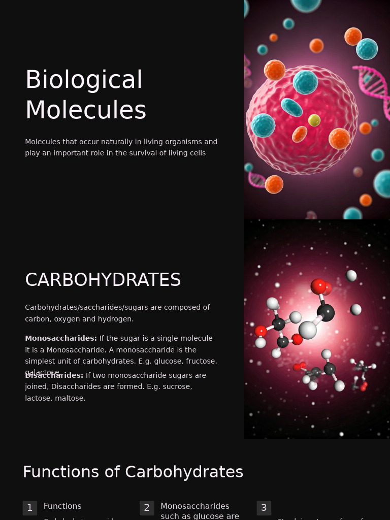 Overview of Biological Molecules | PDF | Carbohydrates | Lipid