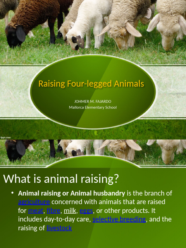 Guide to Raising Four-Legged Animals | PDF | Livestock | Cattle