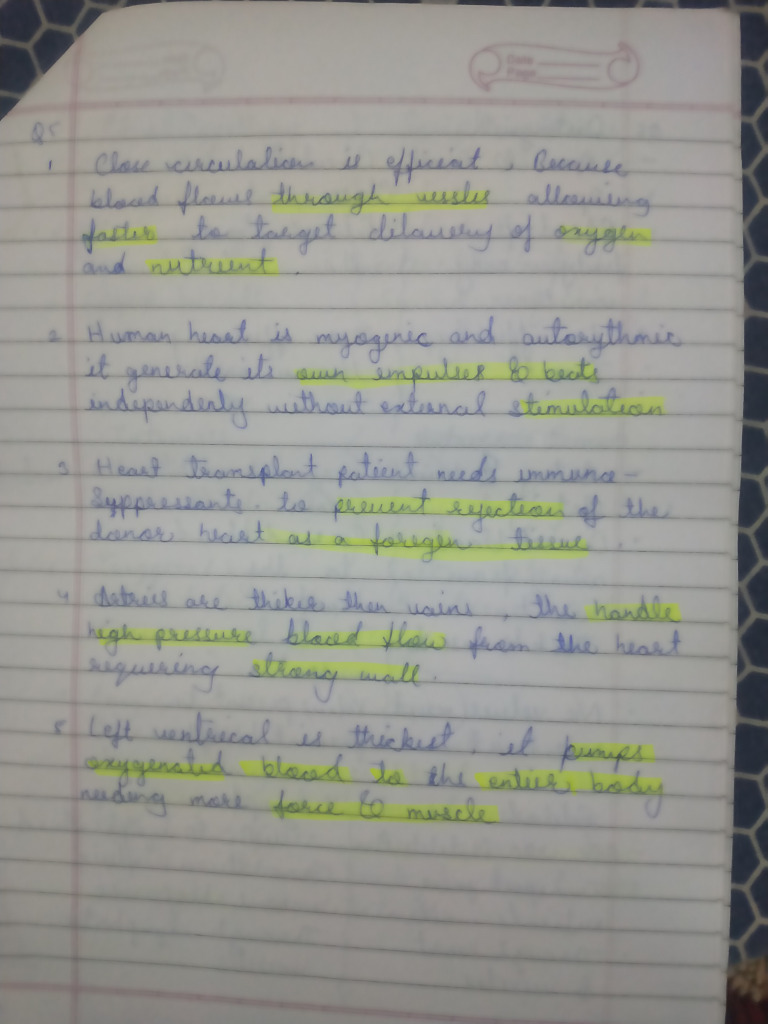 Notes 2 | PDF