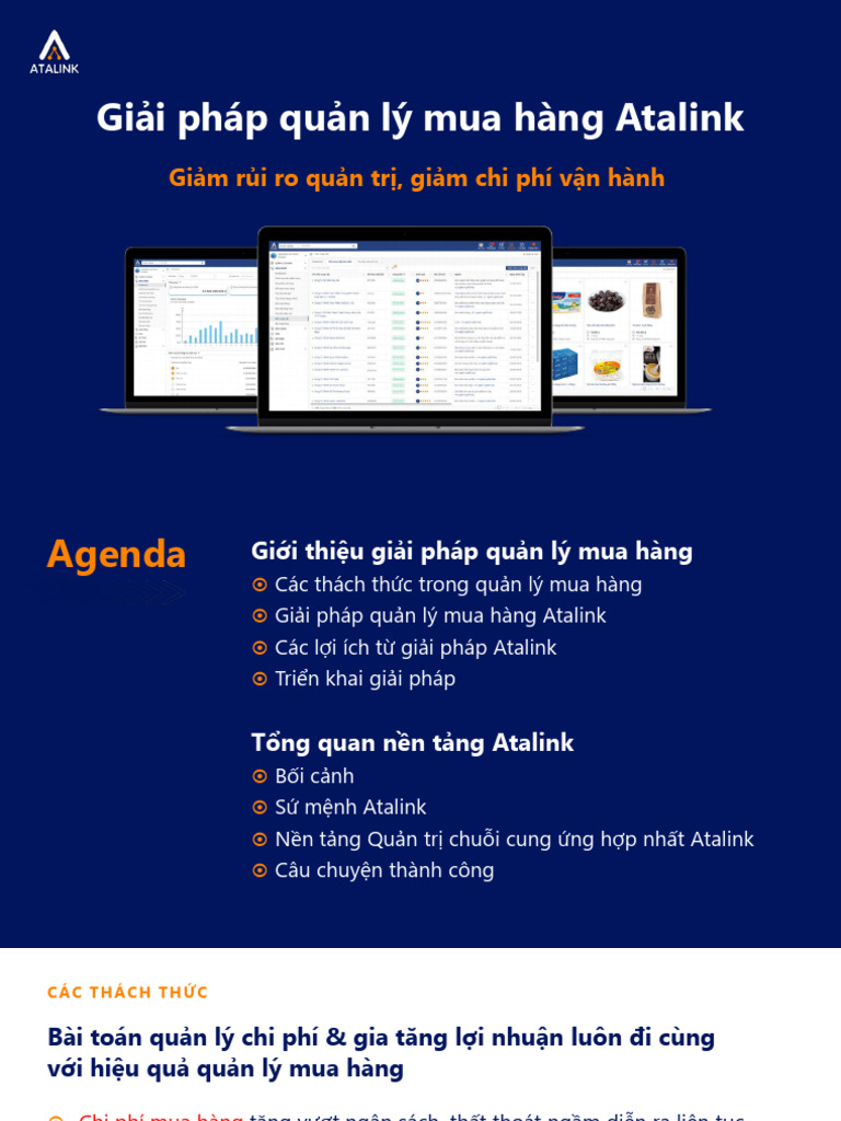 Atalink Procurement Credential VN 1 11 | PDF