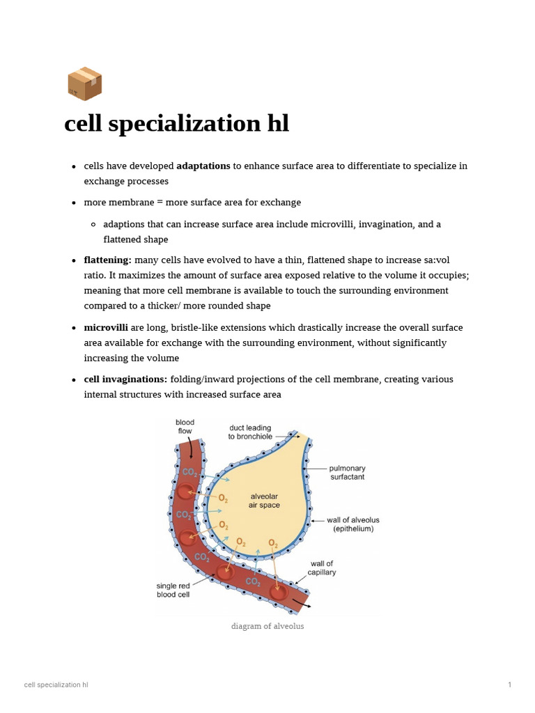 Cell Specialization HL P.S | PDF | Anatomy | Biology