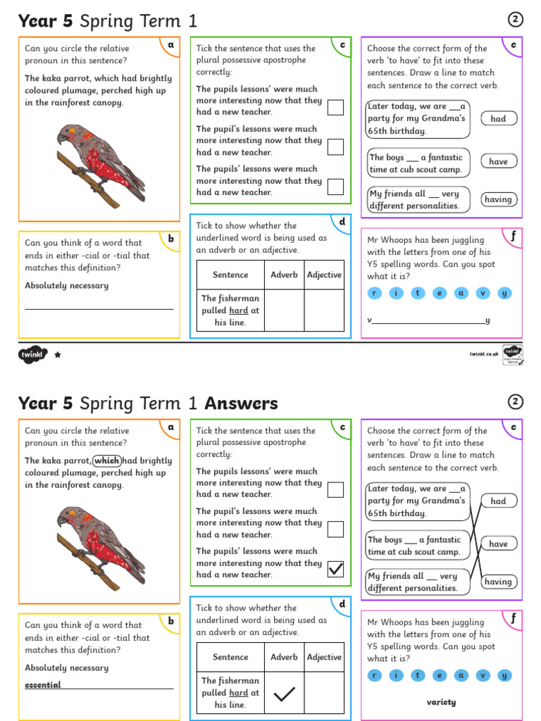 Year 5 Grammar and Language Exercises | PDF | Verb | Adverb