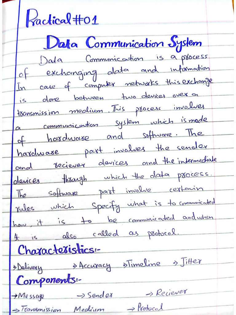 Computer Network Practical | PDF