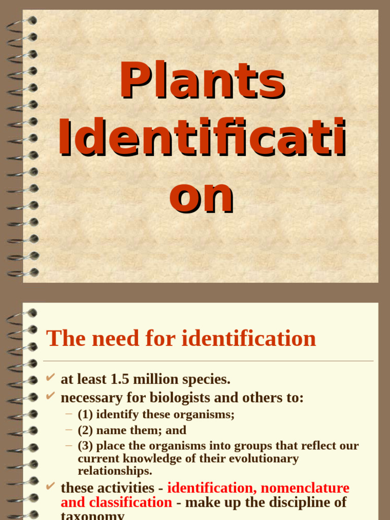 Plant Identification and Taxonomy Guide | PDF | Plants | Botany
