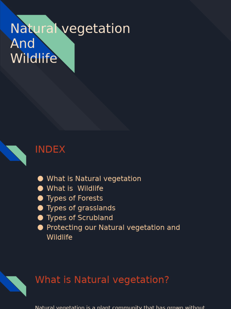 Natural Vegetation and Wildlife Overview | PDF | Forests | Grassland