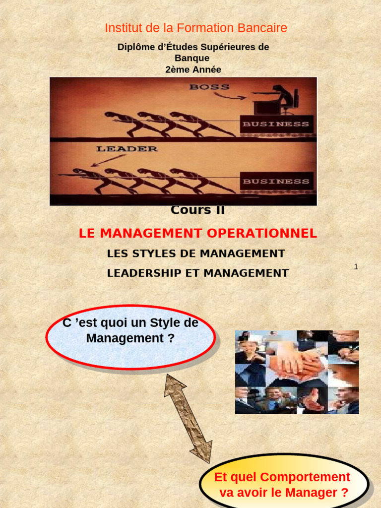 Styles de Management et Leadership | PDF | Direction | Psychologie sociale