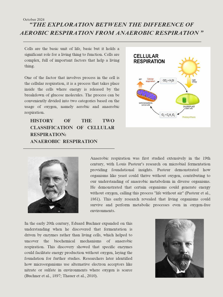 Cellular Respiration: Aerobic vs Anaerobic | PDF | Cellular Respiration ...