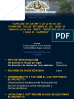 DIAPOSITIVAS proyecto[1]