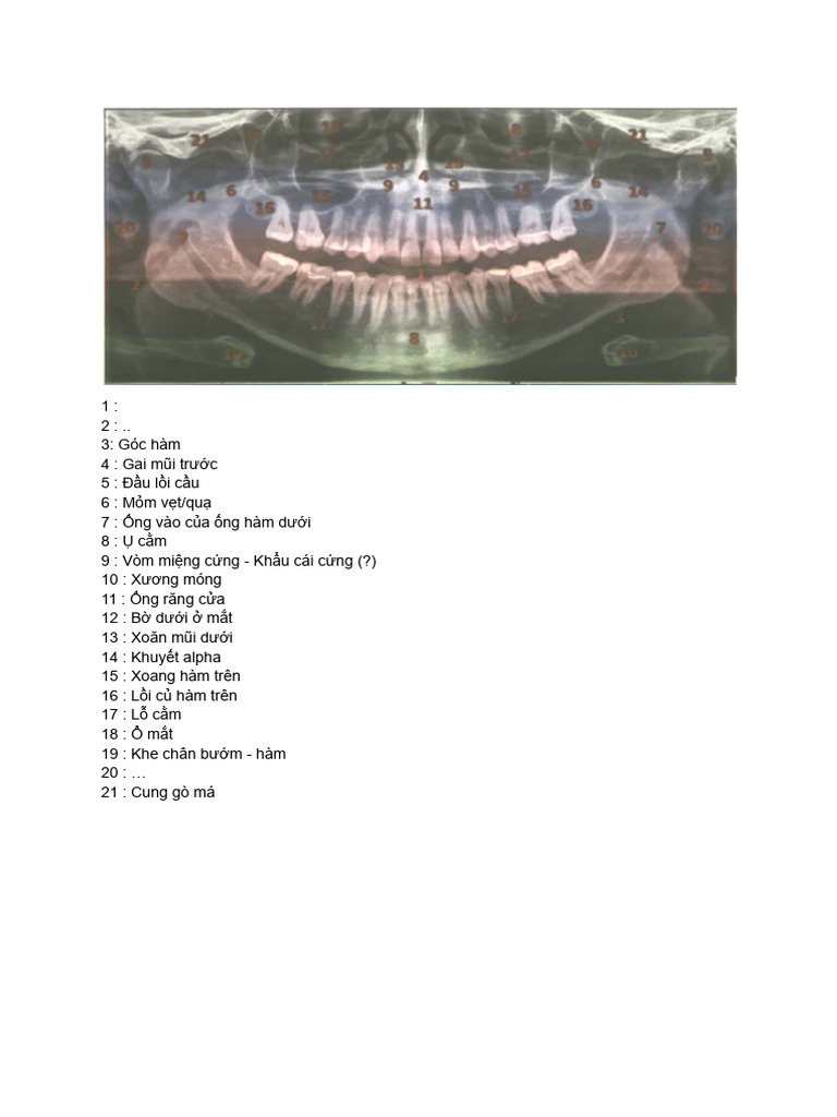 CDHa | PDF