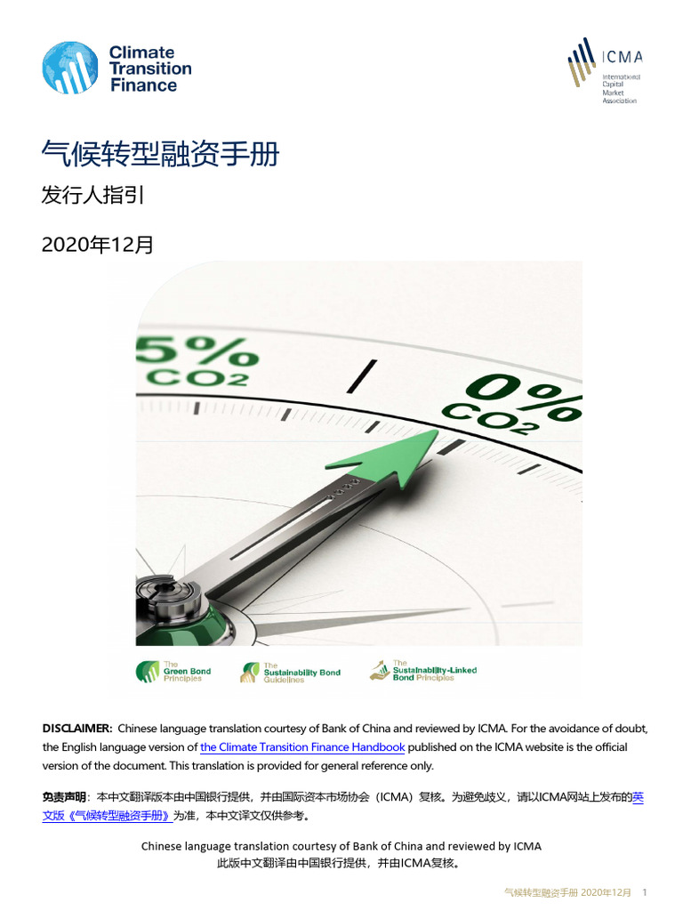 Chinese CTFH2020 12 220121 | PDF