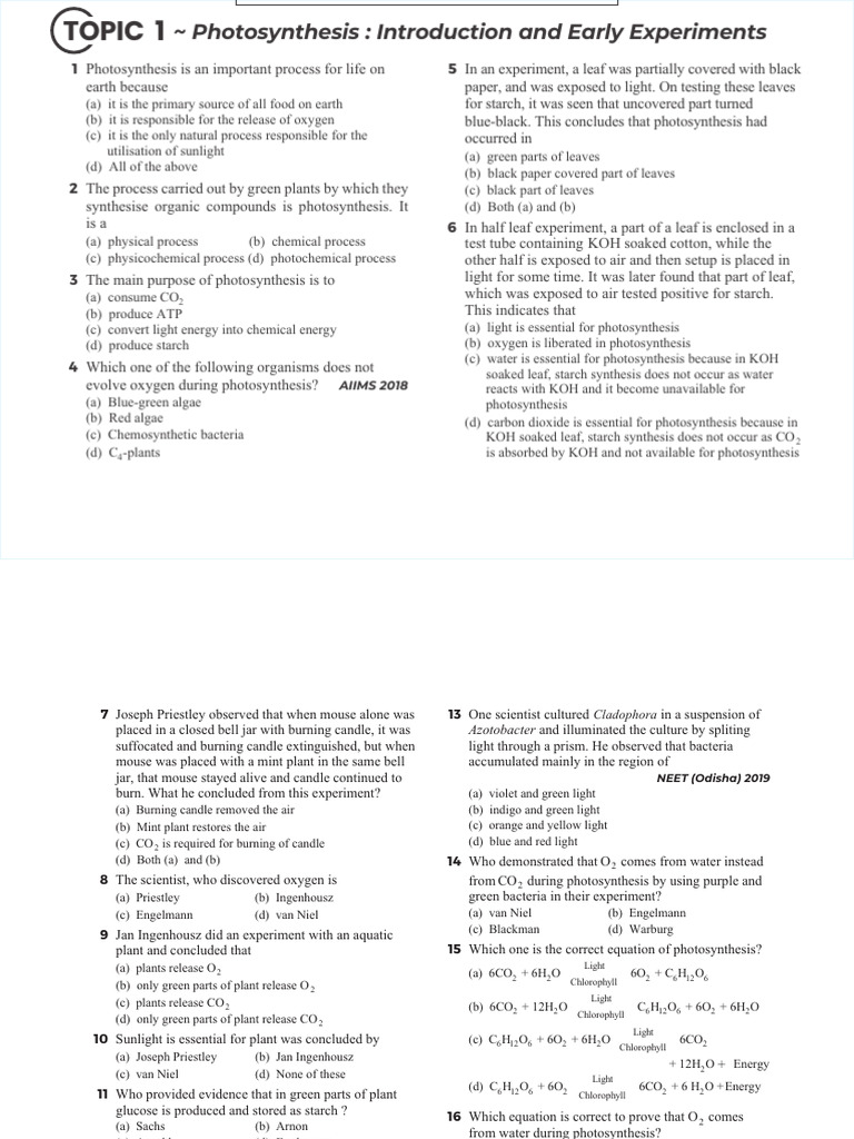 Plant Physiology Neet | PDF | Photosynthesis | Nicotinamide Adenine ...