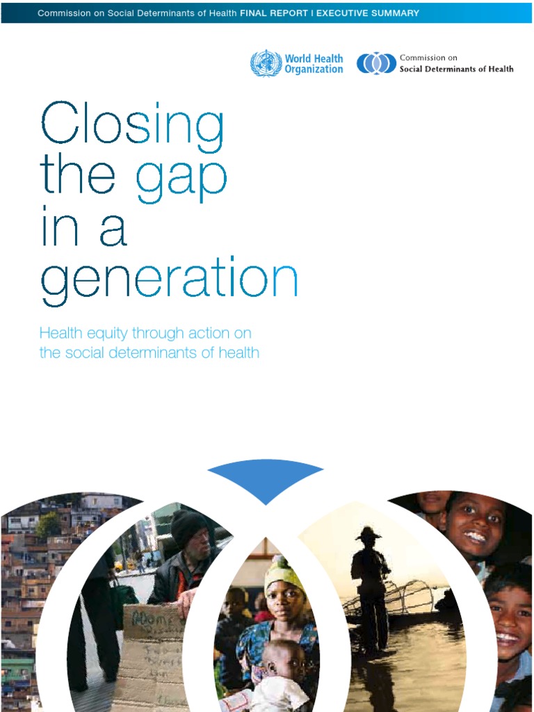 Social Determinants of Health Executive Summary | PDF | Employment ...