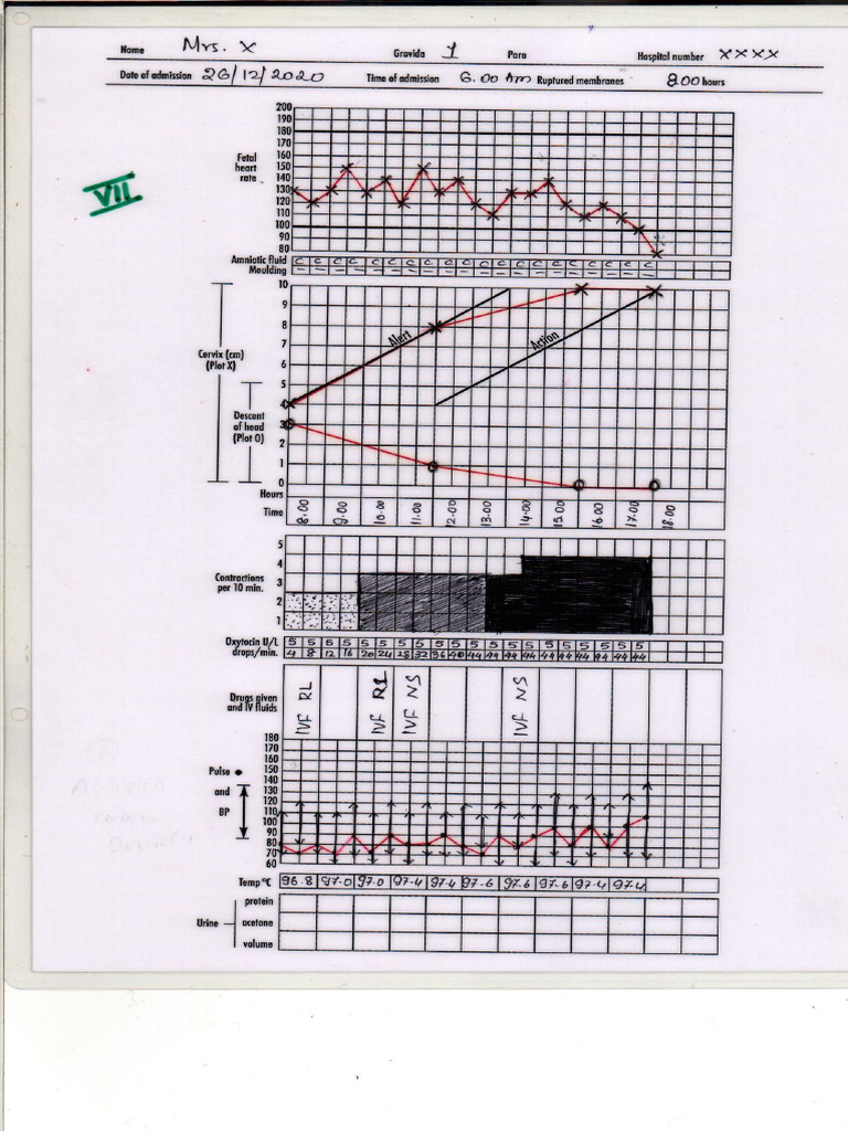 Labor and Delivery Monitoring Report | PDF