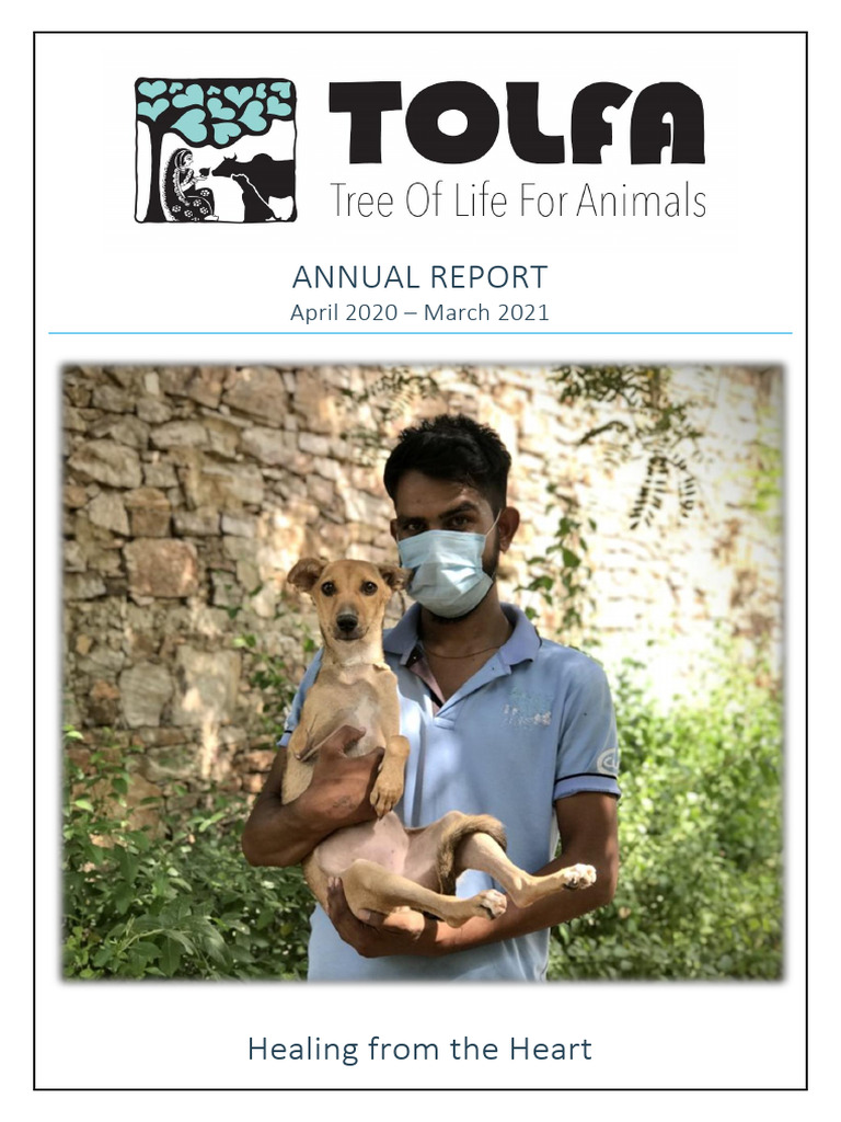TOLFA Annual Report 2020-2021 Summary | PDF