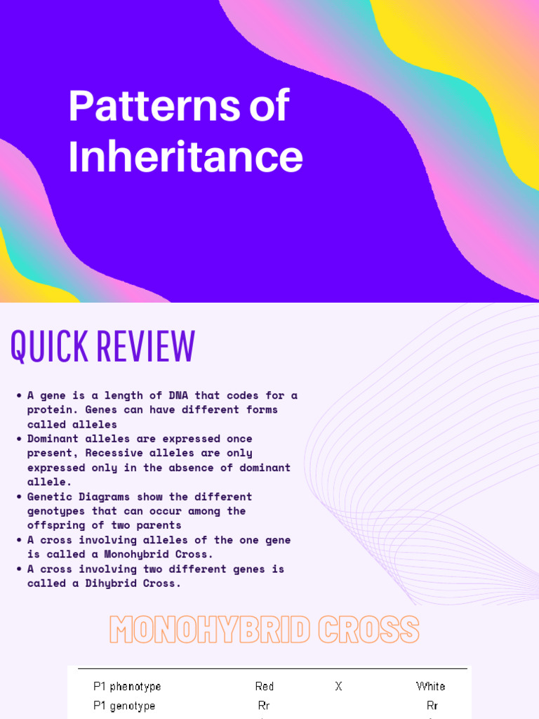 Inheritance Patterns and Examples | PDF | Dominance (Genetics) | Genotype