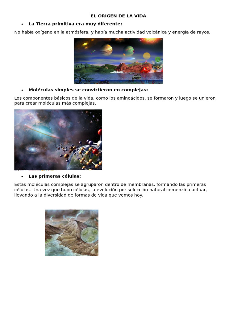 El Origen de La Vida | PDF