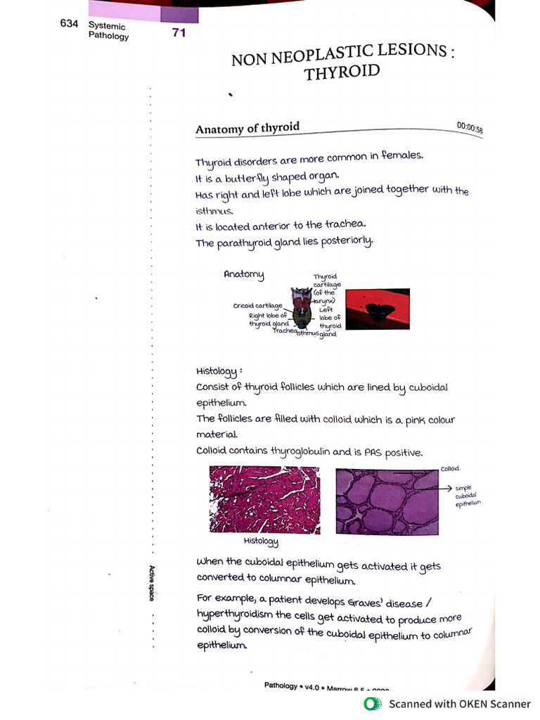 Pathology 4th Notes | PDF