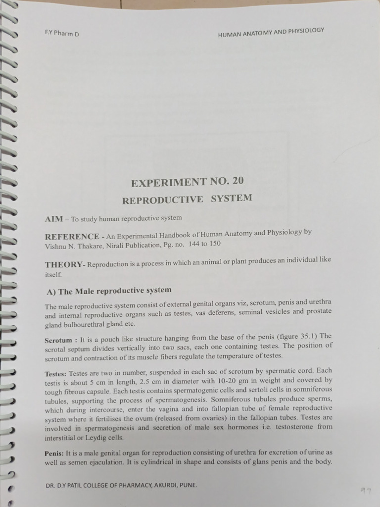 Hap Assignment Part-3 | PDF