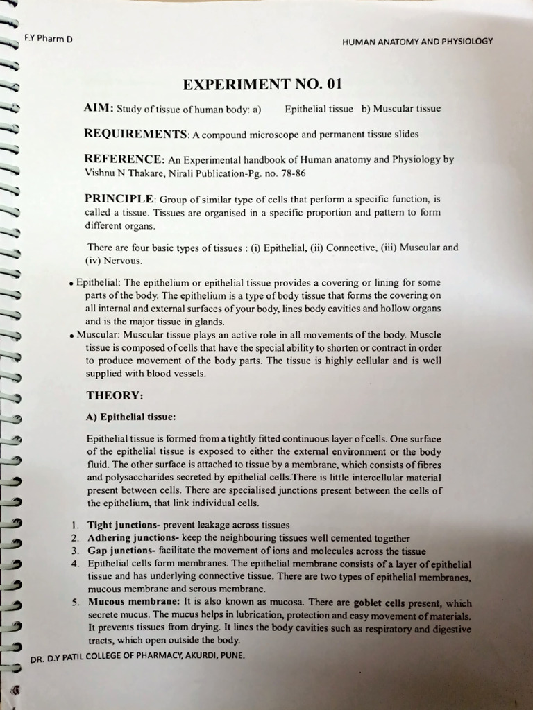 Hap Assignment Part-1 | PDF