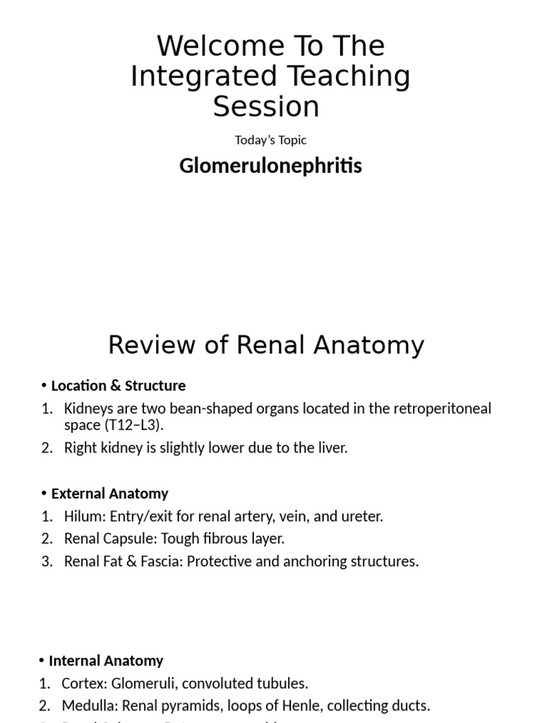 Overview of Glomerulonephritis | PDF | Kidney | Medical Specialties