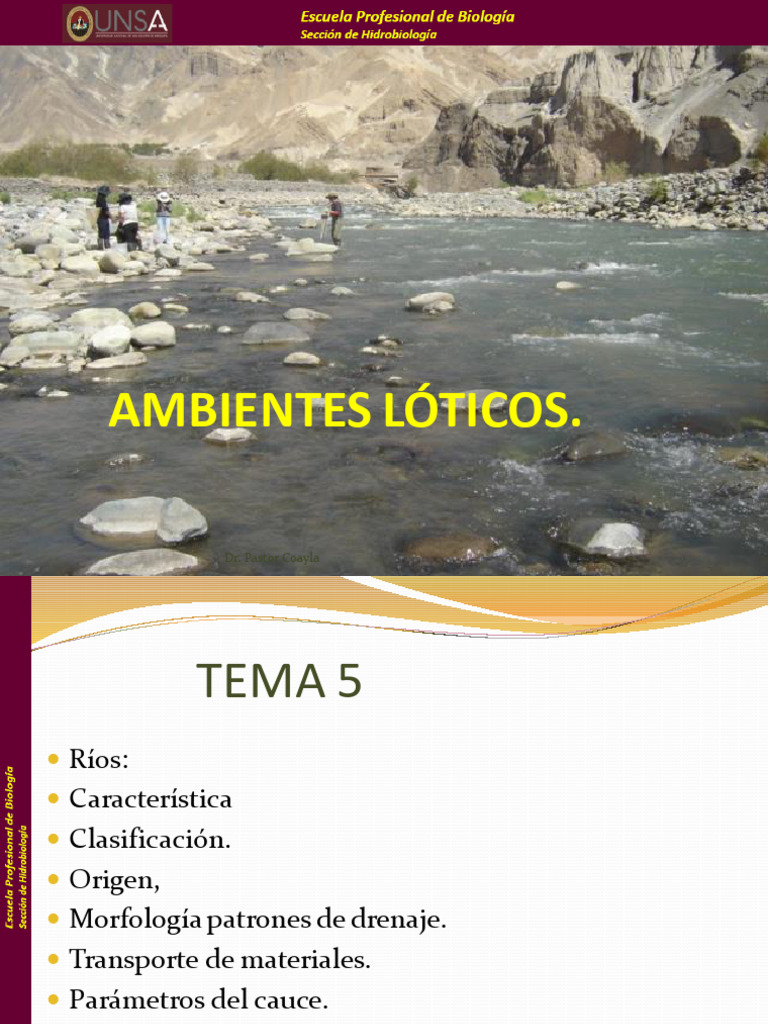 Tema 12 | PDF | Estuario | Río