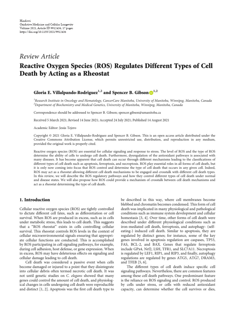 ROS as a Rheostat in Cell Death Mechanisms | PDF | Reactive Oxygen ...