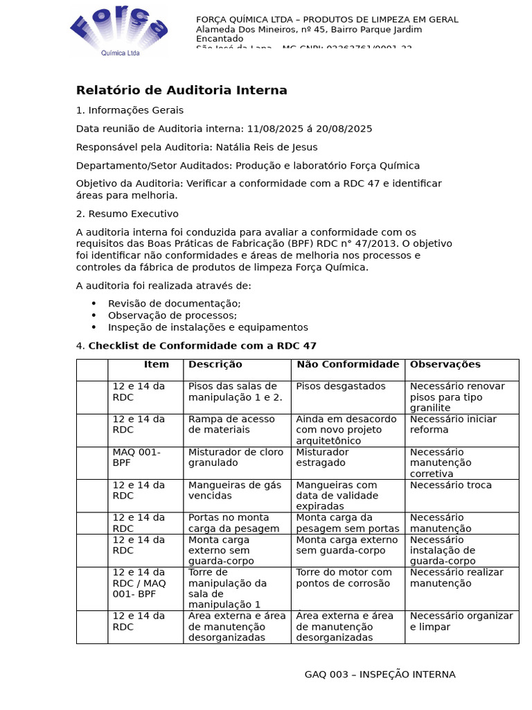 Relatório de Auditoria Interna | PDF