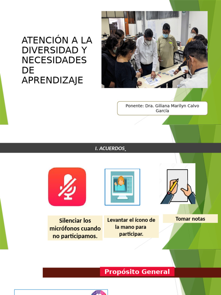 Atención A La Vidersividad | PDF