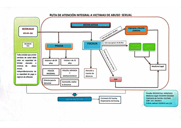 Ruta de Atención Integral A Víctimas de Abuso Sexual | PDF