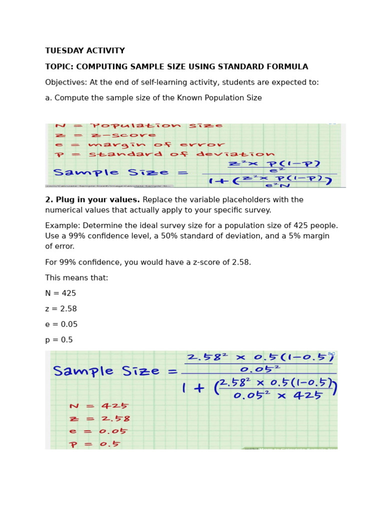 Compute Sample Size for Surveys | PDF