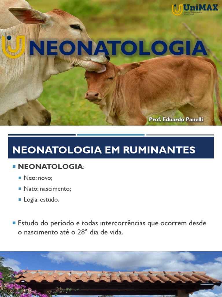 Neonato ruminantes | PDF | Especialidades médicas