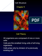 Chapter 5 - Cell Structure