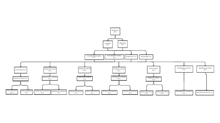 Organizational Roles and Structure | PDF