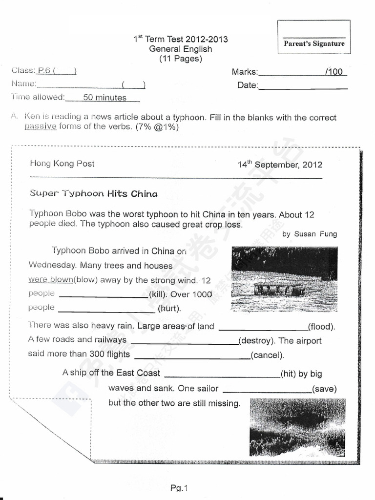 Life Experiences and Preferences Summary | PDF