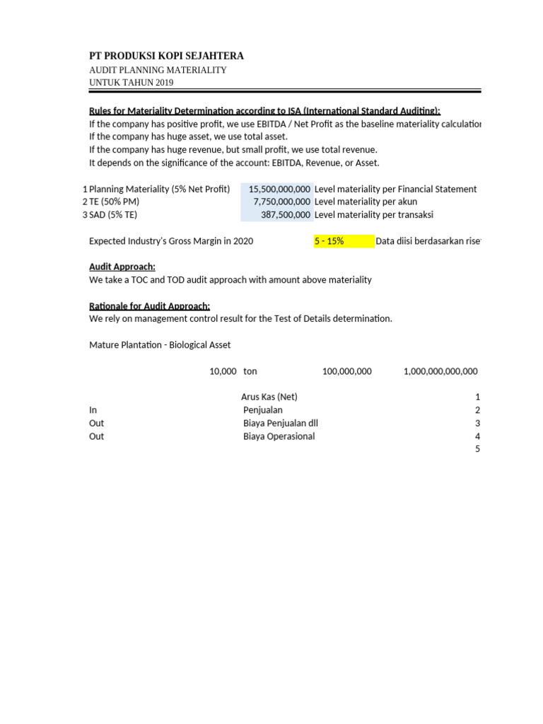 Audit Planning Materiality 2019-2020 | PDF | Accounting | Business