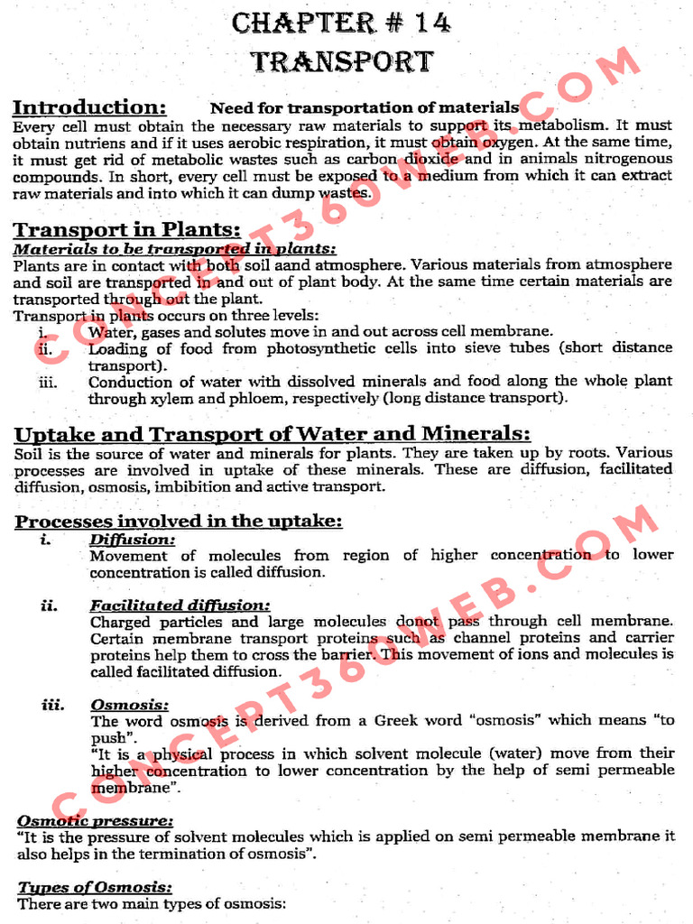 Biology Class 11 Chapter 14 | PDF