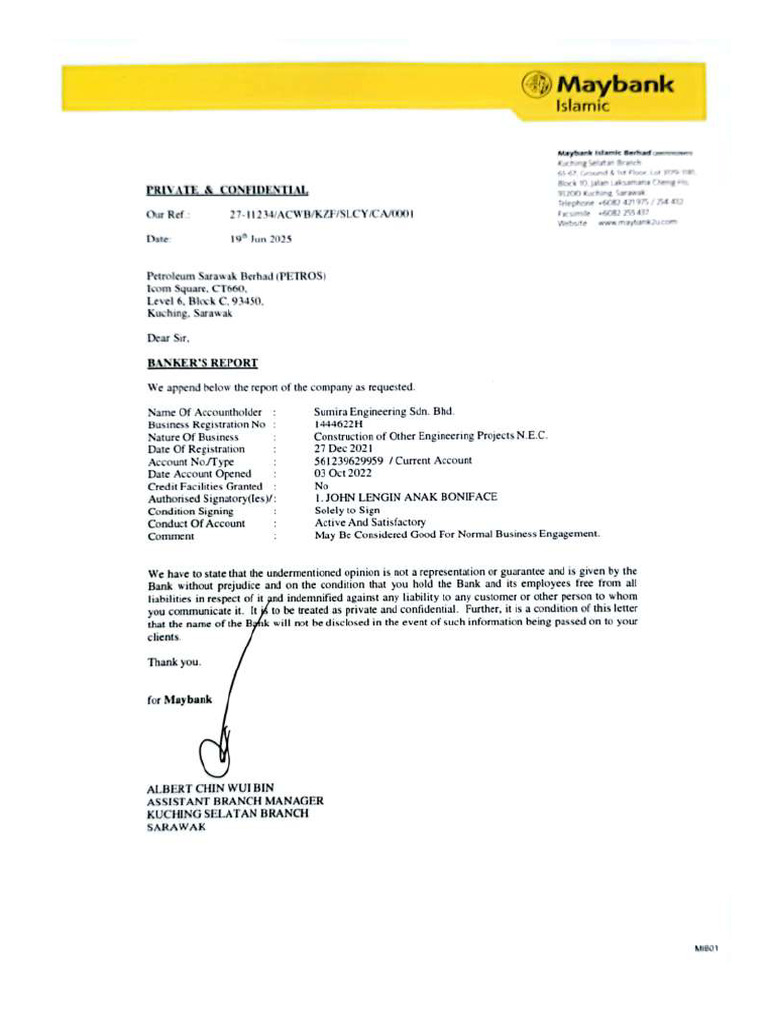 Bank Report Petros | PDF