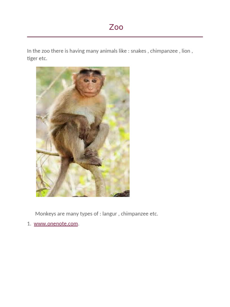 Zoo Animals: Types and Examples | PDF