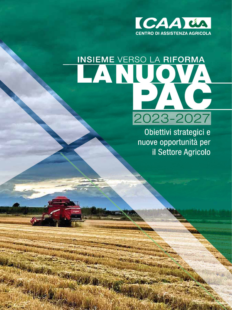 Nuova Guida Pac | PDF