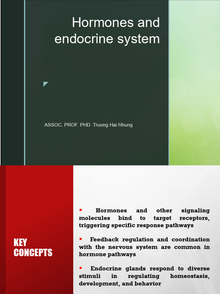 Hormones and Endocrine System Overview | PDF | Hormone | Cell Signaling
