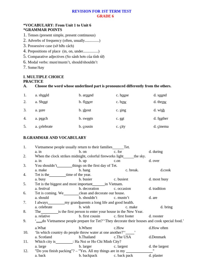 Grade 6 Term Test Revision Guide | PDF